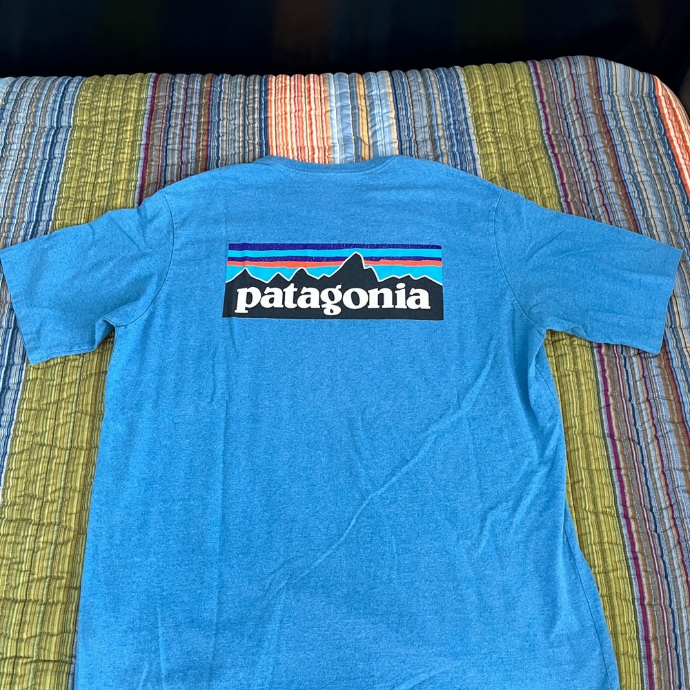 Patagonia Teal T-Shirt with Mountain Graphic
